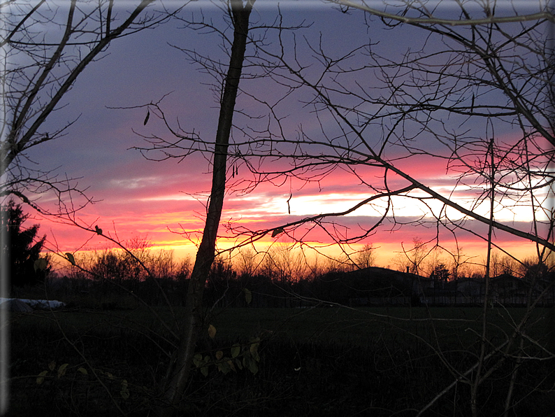 foto Tramonto sui Colli Ezzelini